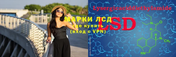 шишки Абаза