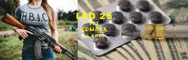 шишки Абаза