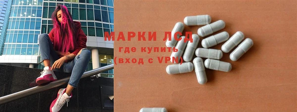 шишки Абаза