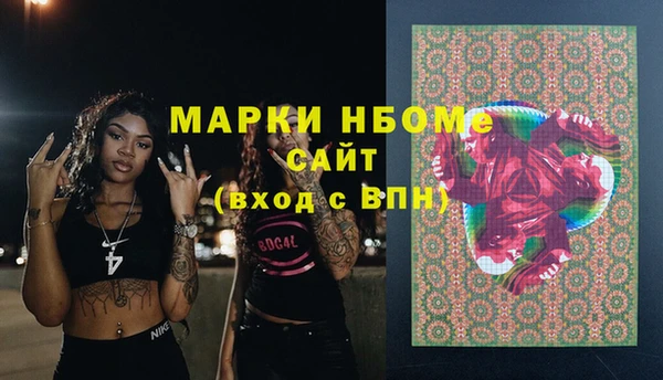 шишки Абаза