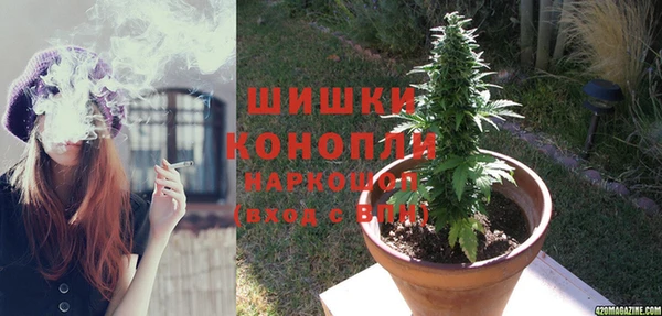шишки Абаза