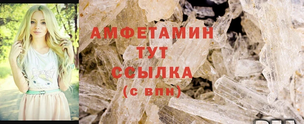 шишки Абаза