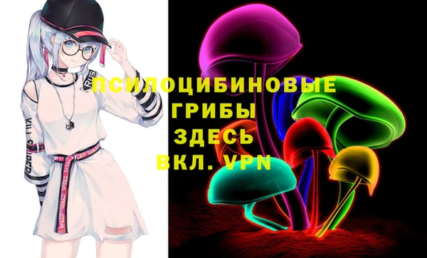 шишки Абаза